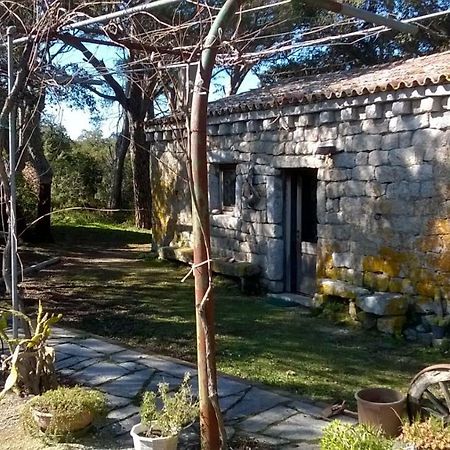 Agriturismo La Vigna Tempio Pausania Exteriér fotografie