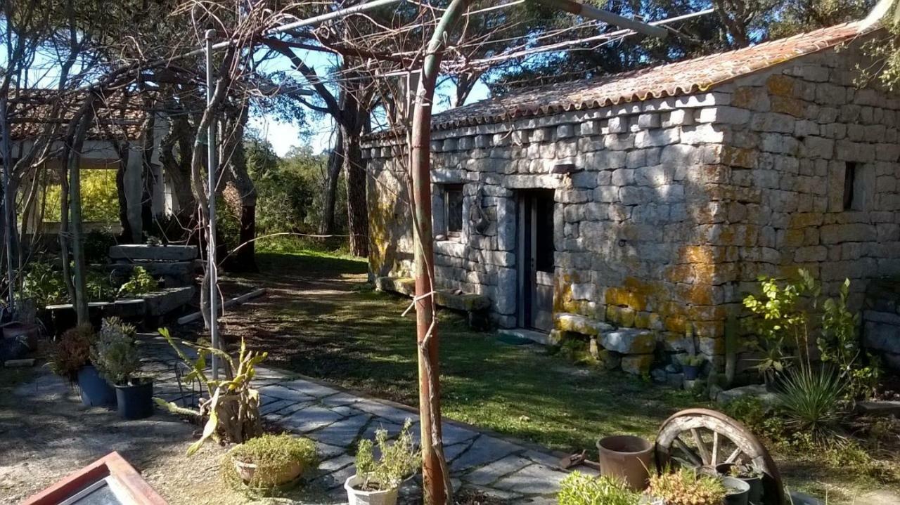 Agriturismo La Vigna Tempio Pausania Exteriér fotografie