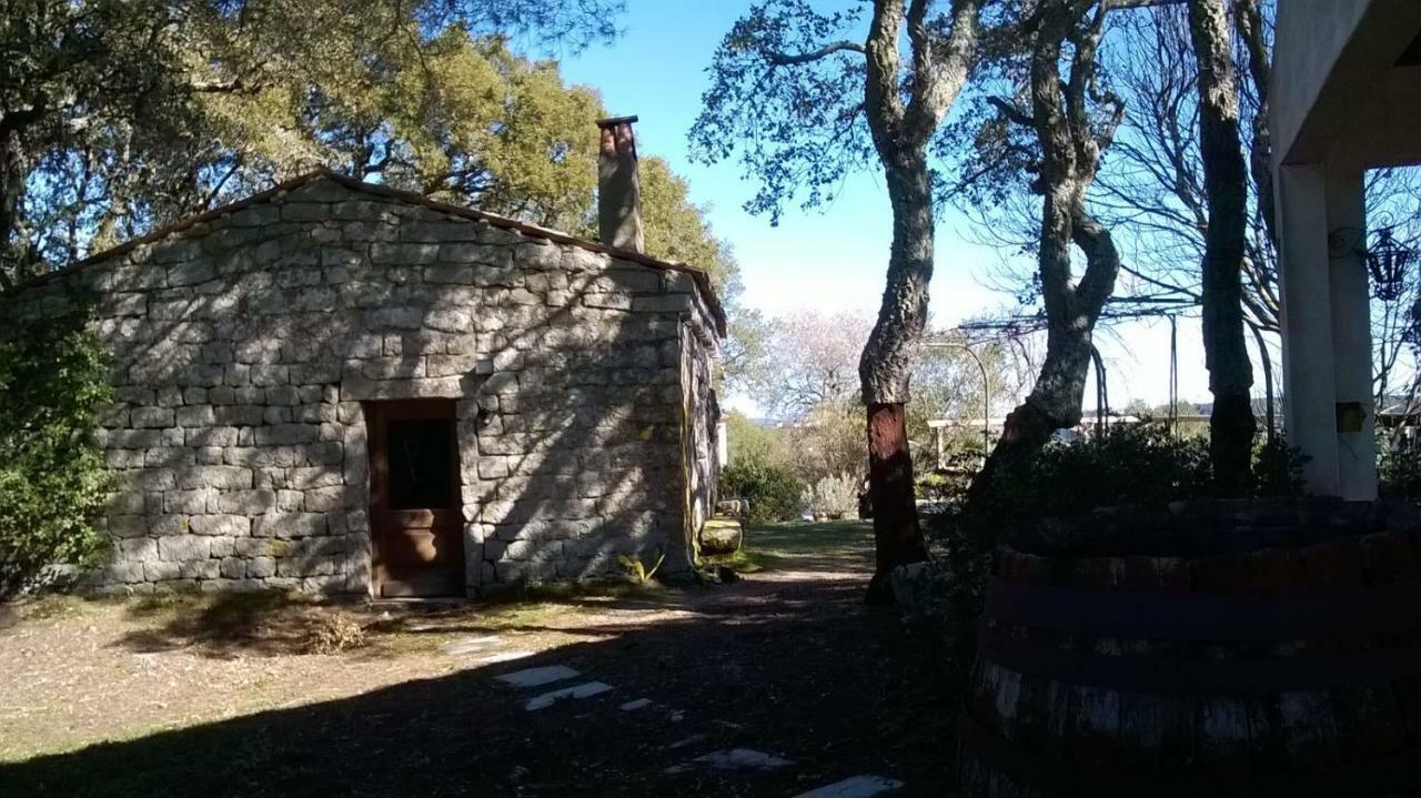 Agriturismo La Vigna Tempio Pausania Exteriér fotografie