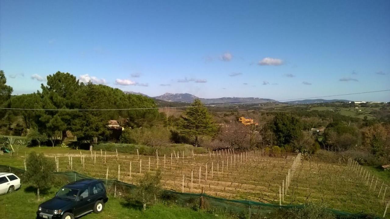 Agriturismo La Vigna Tempio Pausania Exteriér fotografie