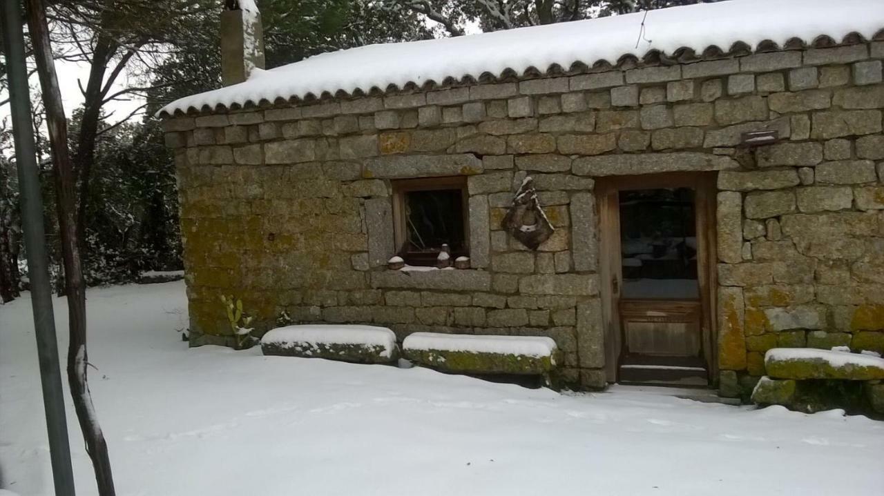 Agriturismo La Vigna Tempio Pausania Exteriér fotografie