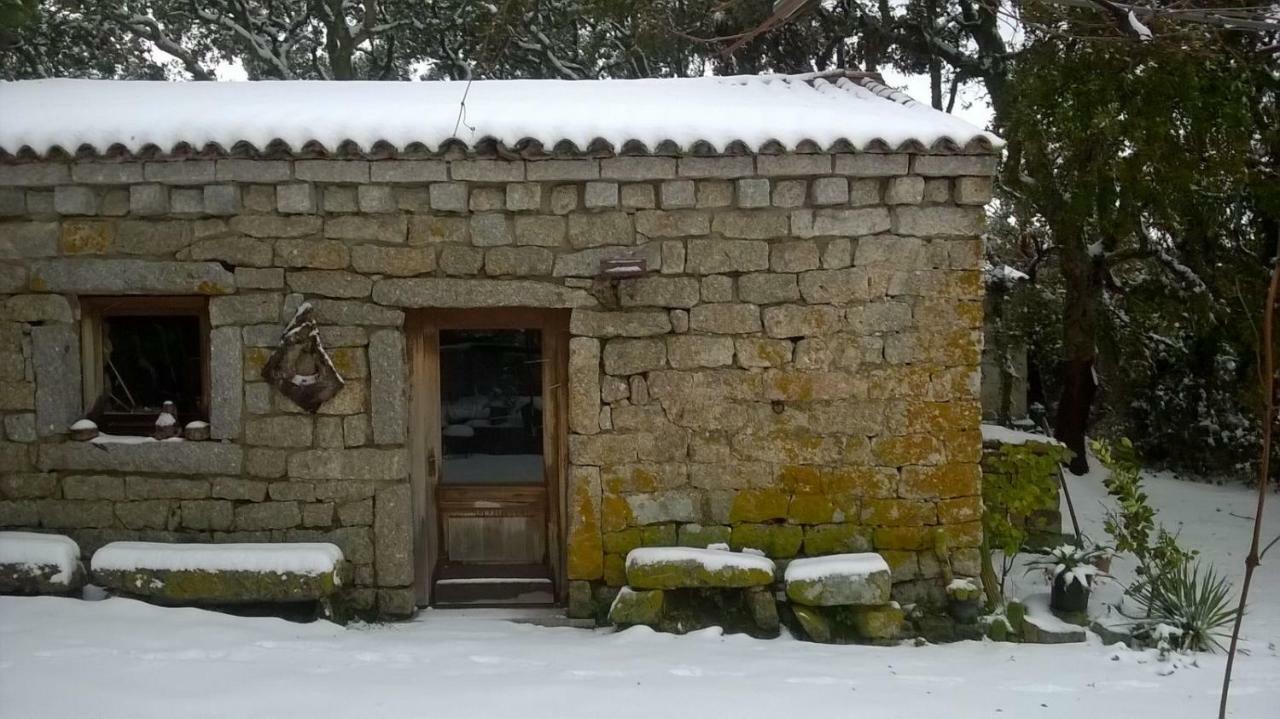 Agriturismo La Vigna Tempio Pausania Exteriér fotografie