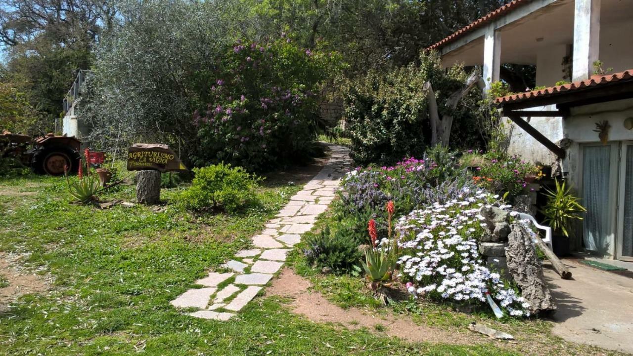 Agriturismo La Vigna Tempio Pausania Exteriér fotografie