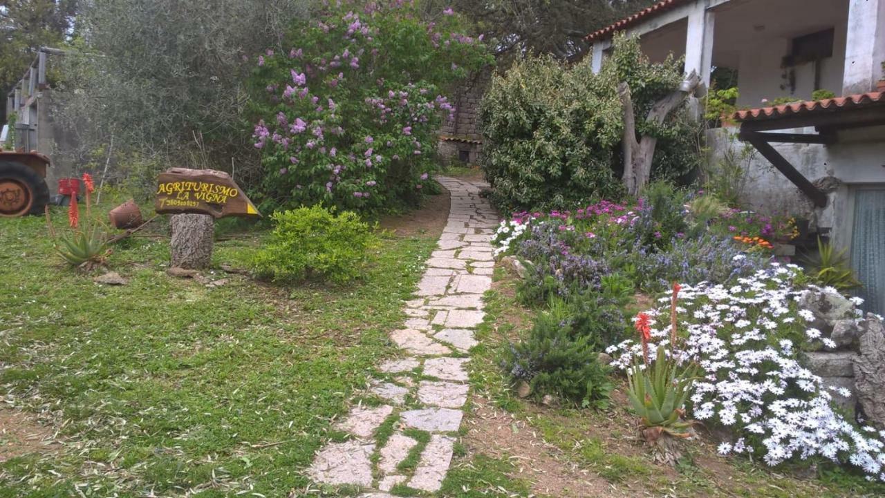 Agriturismo La Vigna Tempio Pausania Exteriér fotografie